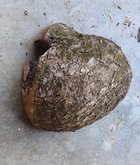 IMG_20240405_082822.jpg