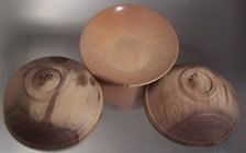 Sapwood  about half a year later.jpg