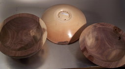 Black Walnut sapwood  after a few months.jpg