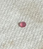 IMG_9986.jpeg