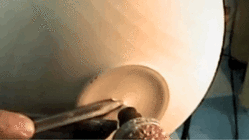 trim.4A92067E-B873-4D48-B1A5-7E88A3242C58.gif