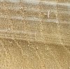 mystery_wood2.jpg