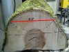 Maple 2B Cut.jpg Maple 2B Cut.jpg