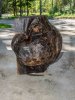 burl-2.jpg burl-2.jpg