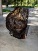 burl-4.jpg