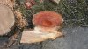 20160308_163655_resized.jpg