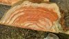 20160308_165055_resized (4).jpg