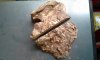 Pitch Burl1.jpg