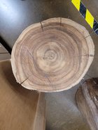 ACACIA WOOD 4.jpg