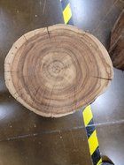 ACACIA WOOD 6.jpg