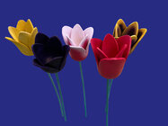 Tulips.jpg
