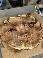 IMG_0493.jpeg