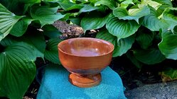 Bradford Pear Trophy Bowl in the Hostas.jpg