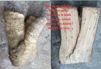 IMG_1551.jpeg