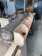 IMG_5595 Medium.jpeg