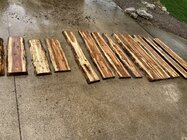 IMG_5598 Medium.jpeg