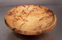 2 species of wood borers.jpg