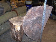 Sycamore half log.jpg