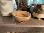 IMG_3457.jpeg