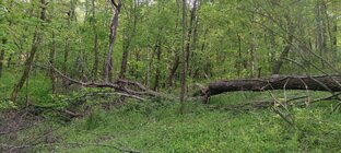 IMG_20240423_170833 (1).jpg
