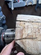 IMG_0883.jpeg