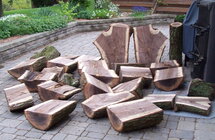 Free Black Walnut  logs.jpg