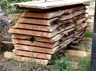 cedar_P9064287es.jpg