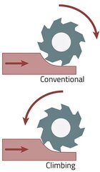 IMG_2765.jpeg IMG_2765.jpeg