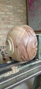 IMG_20250110_123528.jpg