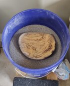 IMG_20250208_092940.jpg