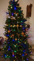 DSC00832.JPG
