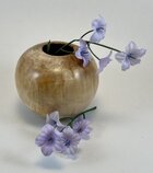 Aspen Hollow Form Staged.jpeg
