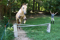 horse_jump_IMG_5558.jpg