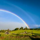 Maui-Rainbow .jpeg