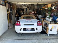 IMG_2969.jpeg