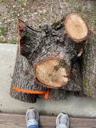IMG_0454.jpeg