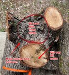 IMG_2896.jpeg