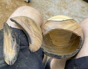 IMG_1003.jpeg