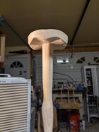 PXL_20250419_034312897.jpg