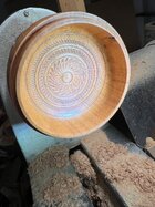 IMG_1335.jpeg