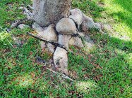 IMG_20250507_115523.jpg