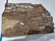 burl.jpg