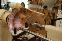 tripus9.JPG