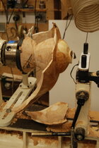 tripus11.JPG