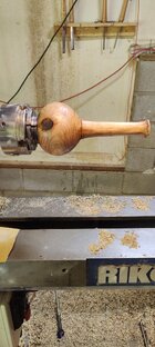 IMG_20250519_140029.jpg