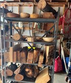 Shelf1.jpg