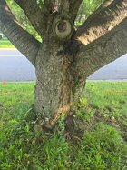 20250530_072427.jpg