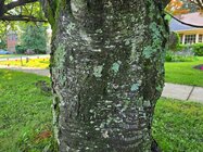 20250531_085059.jpg