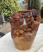 IMG_3347.jpeg