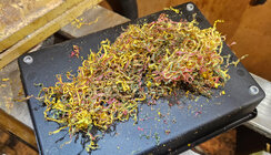 spectraply_shavings.jpg